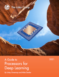 A Guide to Processors for Deep Learning