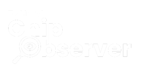 Chip Observer