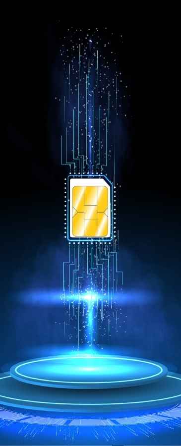 Mobile Carriers