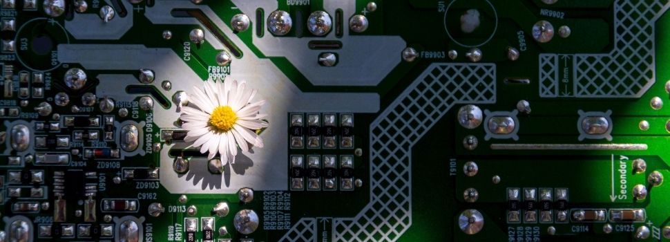 Earth Day 2026 eBook