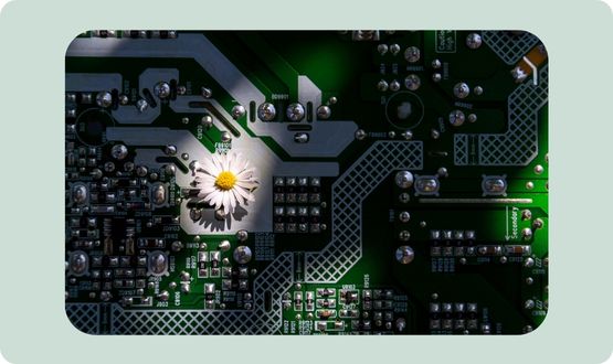 carbon in the age of AI chips