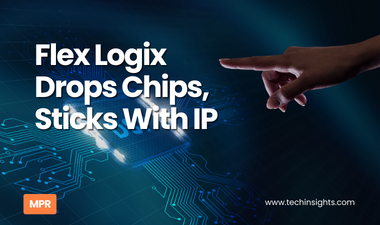 Flex Logix Drops Chips, Sticks With IP